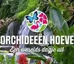 Excursie Orchideeën Hoeve
