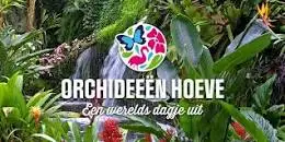Excursie Orchideeën Hoeve